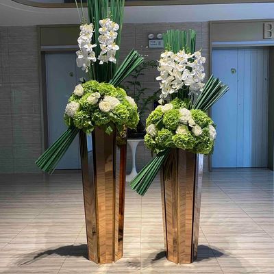 Goud roestvrij staal buitenste frame plantenplant fles voor hotel